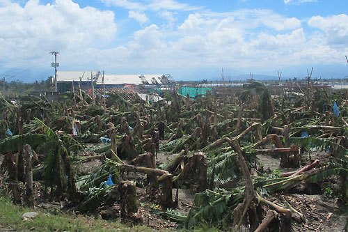 Décembre : Le typhon Bopha a fait plus de 1000 morts aux Philippines et des milliers de déplacés. 
<p>Le bilan ne cesse de s’alourdir. 