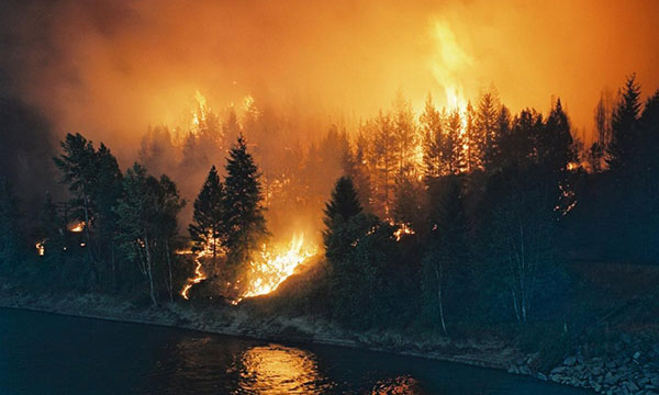 Un grand feu de forêt orange vif se propage le long d'une masse de grands pins, et nous voyons le reflet du feu dans l'eau le long de la côte.