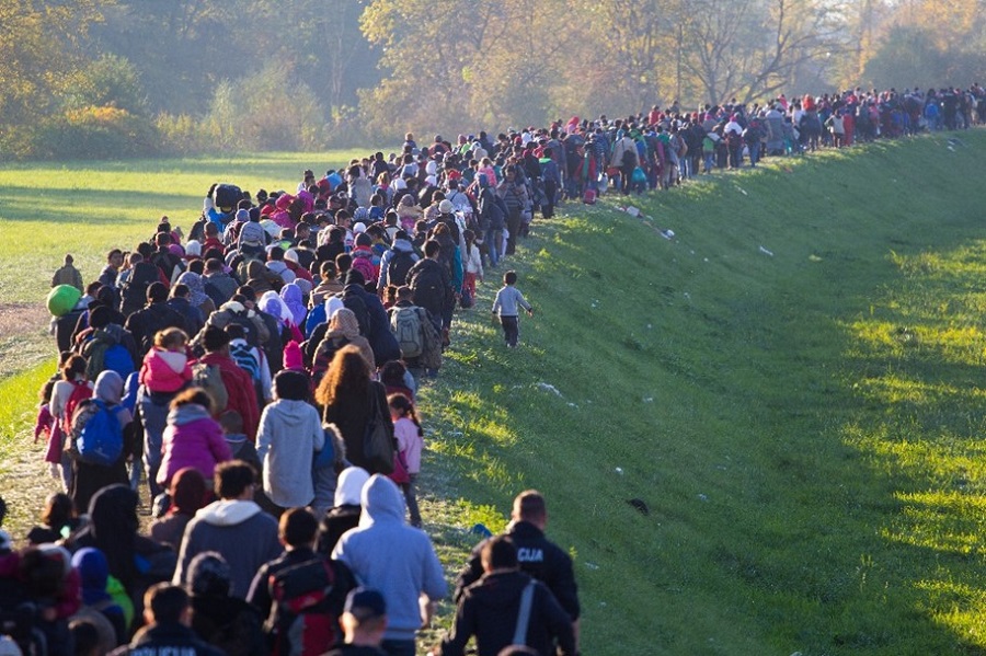 Hundreds of immigrants walking through a field