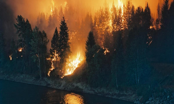 Wildfires burning trees behind a water front.