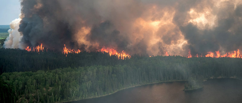 Une vue aérienne d'un feu de forêt près d'un lac.