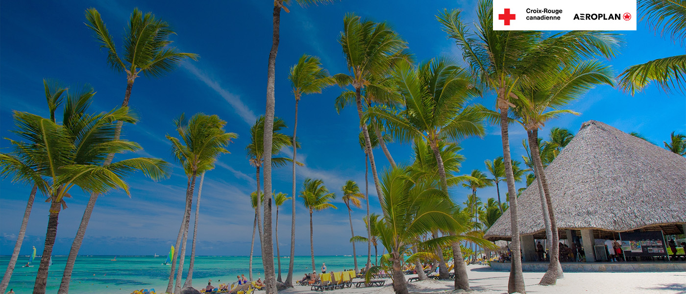 Des palmiers en bord de mer se balancent au gré d’une douce brise tropicale.