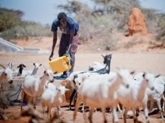 Des millions de personnes souffrent de malnutrition en raison de la sécheresse qui sévit dans l’Est et le Sud de l’Afrique