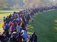 Hundreds of immigrants walking through a field 