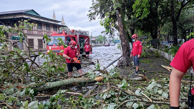 Des gens de la Croix-Rouge défrichent un arbre tombé d’une rue inondée