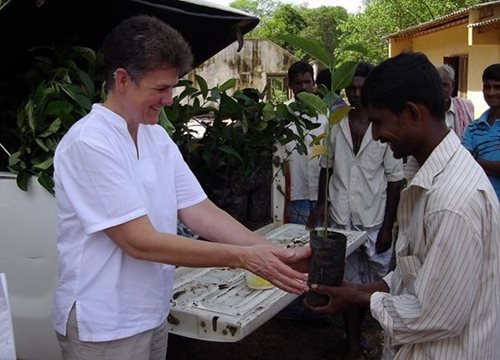 Distribution de plantules d’arbres fruitiers aux personnes habitant des maisons construites par la CRC au Sri Lanka.