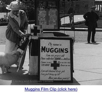 Archived footage of Muggins the fundraising dog with a woman dressed from 1910s