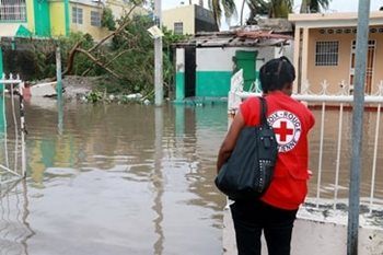 Les équipes d’évaluation de la Croix-Rouge dans le périmètre de la ville dévastée de Jérémie