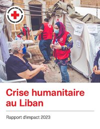 Crise humanitare au Liban - mise à jour aux donateurs.