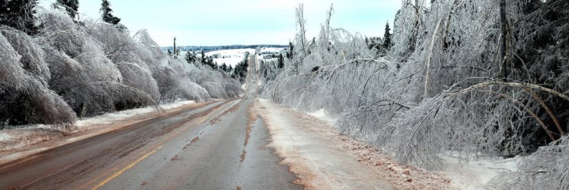 Les arbres couverts de glace bordent une autoroute pendant l'hiver
